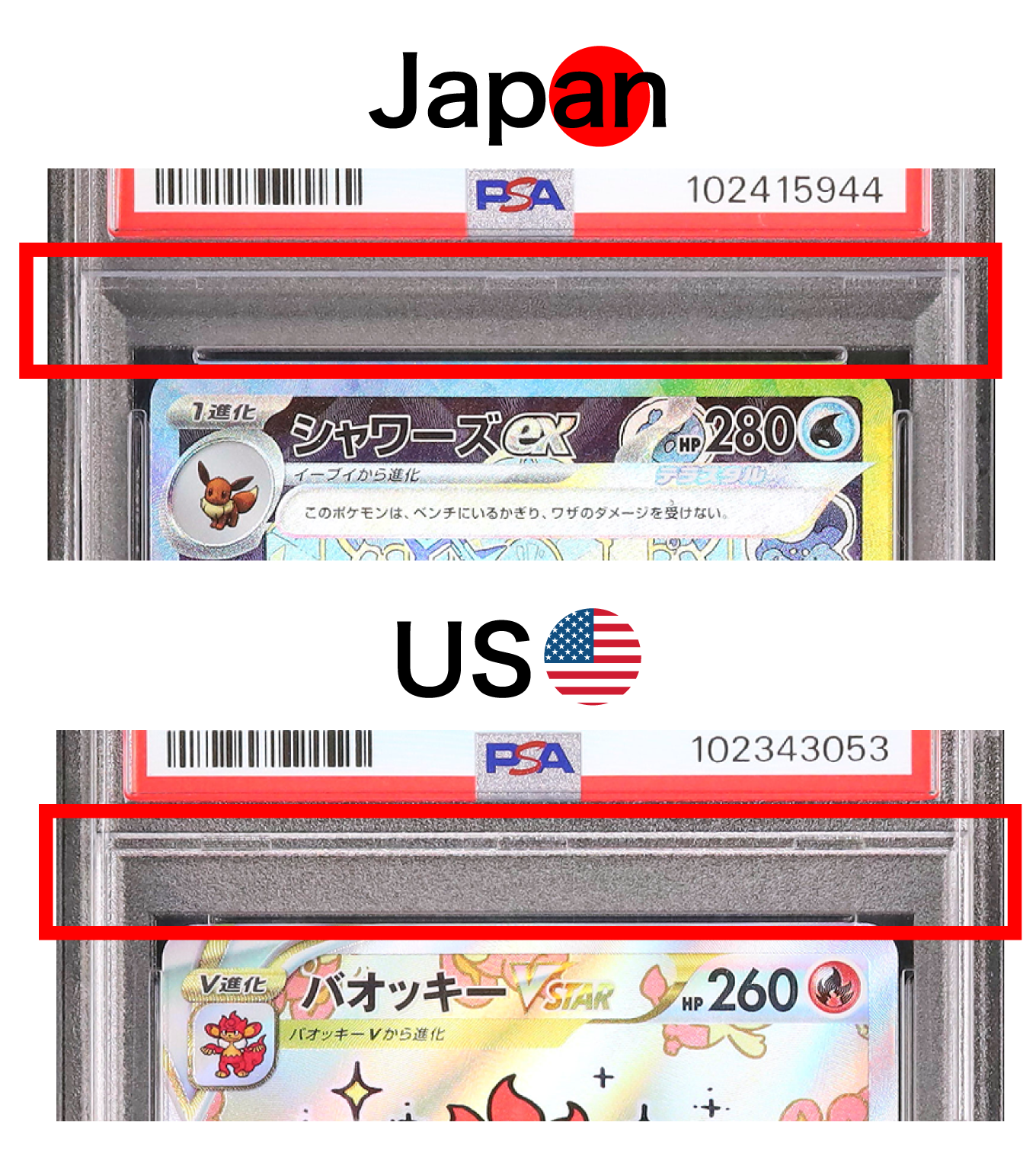 How to Submit to PSA Japan | カルドバ